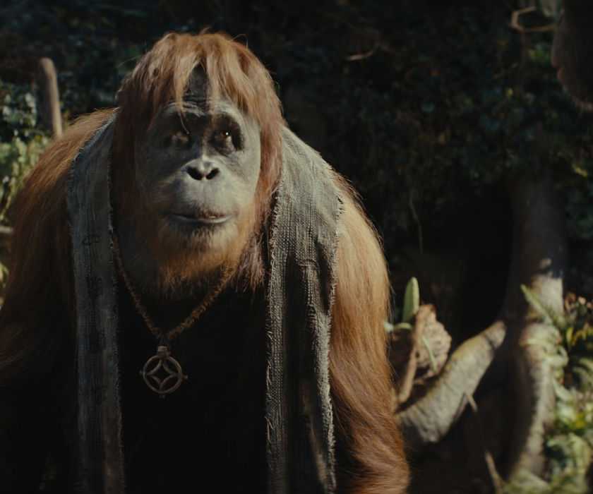Close Raka ‘Kingdom of the Planet of the Apes’ Cast Guide — Who Are the New Primates?