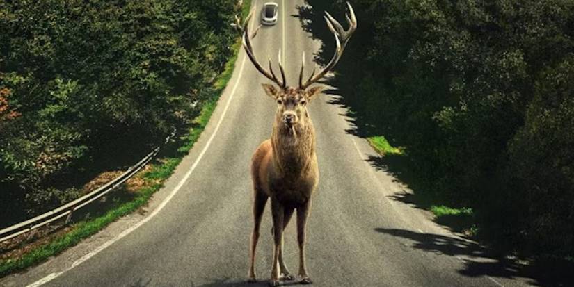 a heavily antlered deer standing in the street in a poster for Leave the World Behind