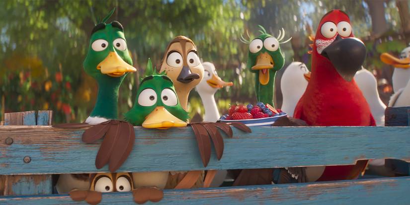 Mallards and a parrot stand behind a fence while staring at something in Migration