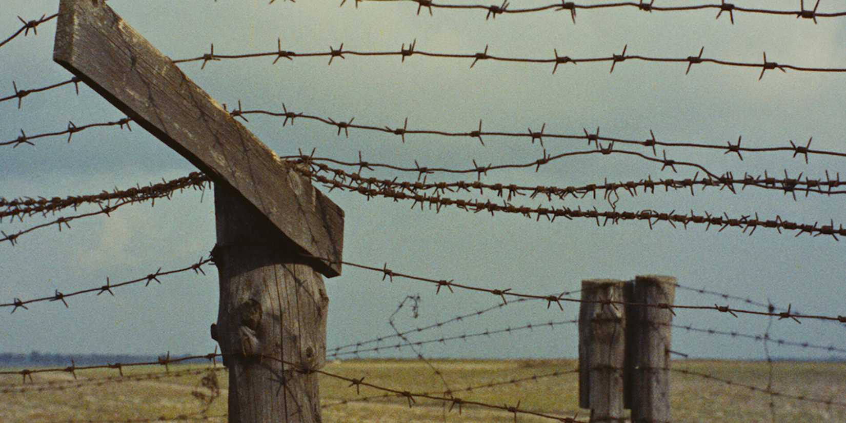 Barbed wire in Alain Resnais' 'Night and Fog'