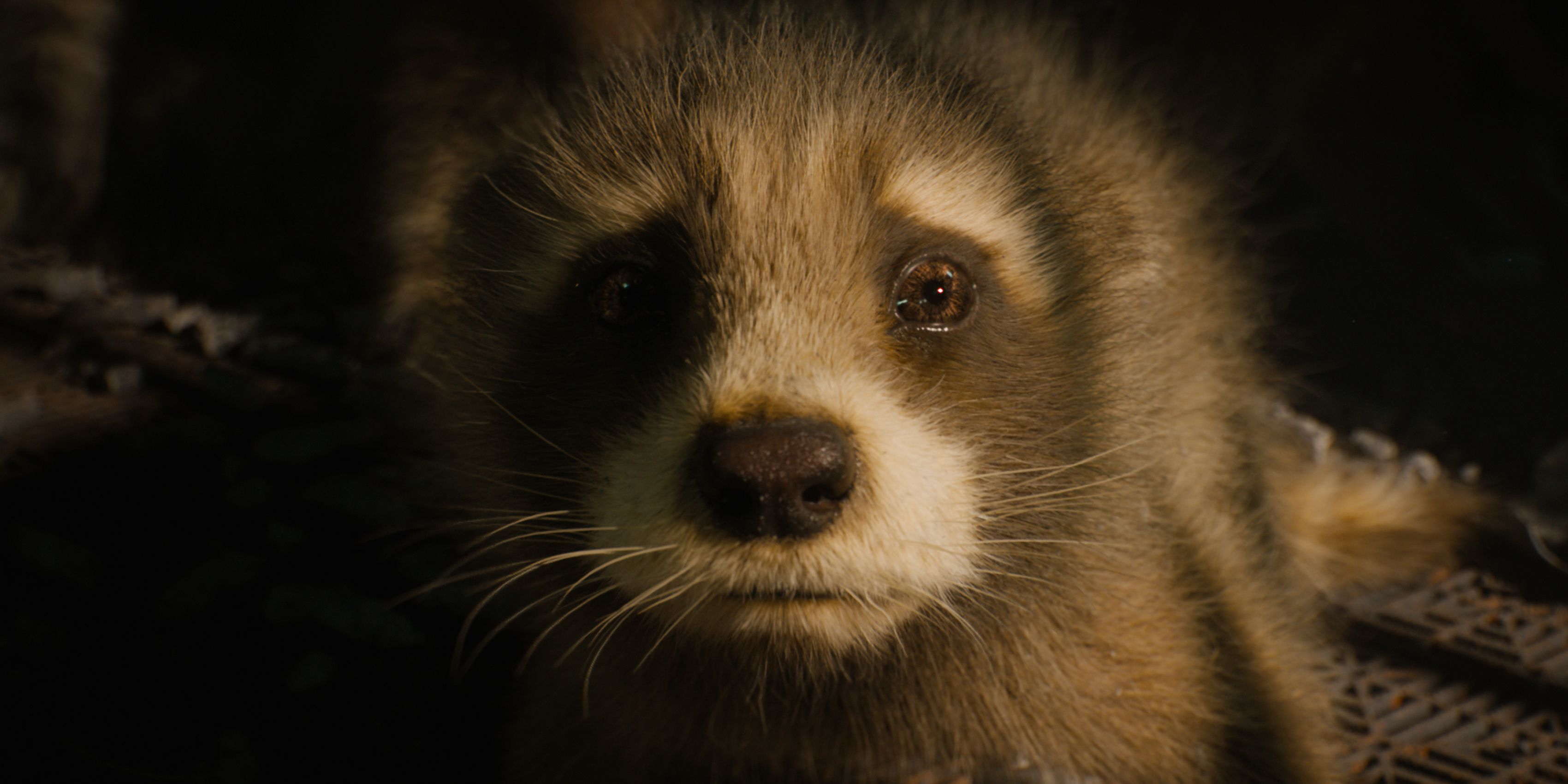 Universal Tops Disney at the 2023 Box Office