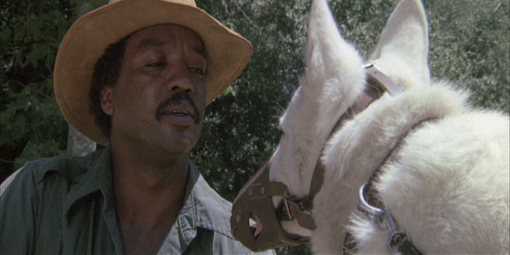 A Black man looking at a dog with a muzzle in White Dog