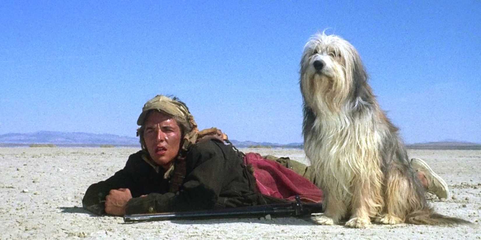 Don Johnson lying down on the ground next to a dog in A Boy and His Dog