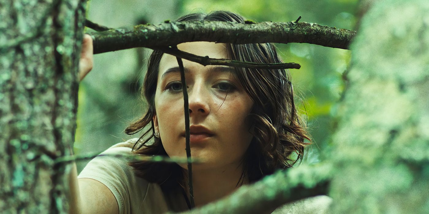 The 40 Best Movies of 2024