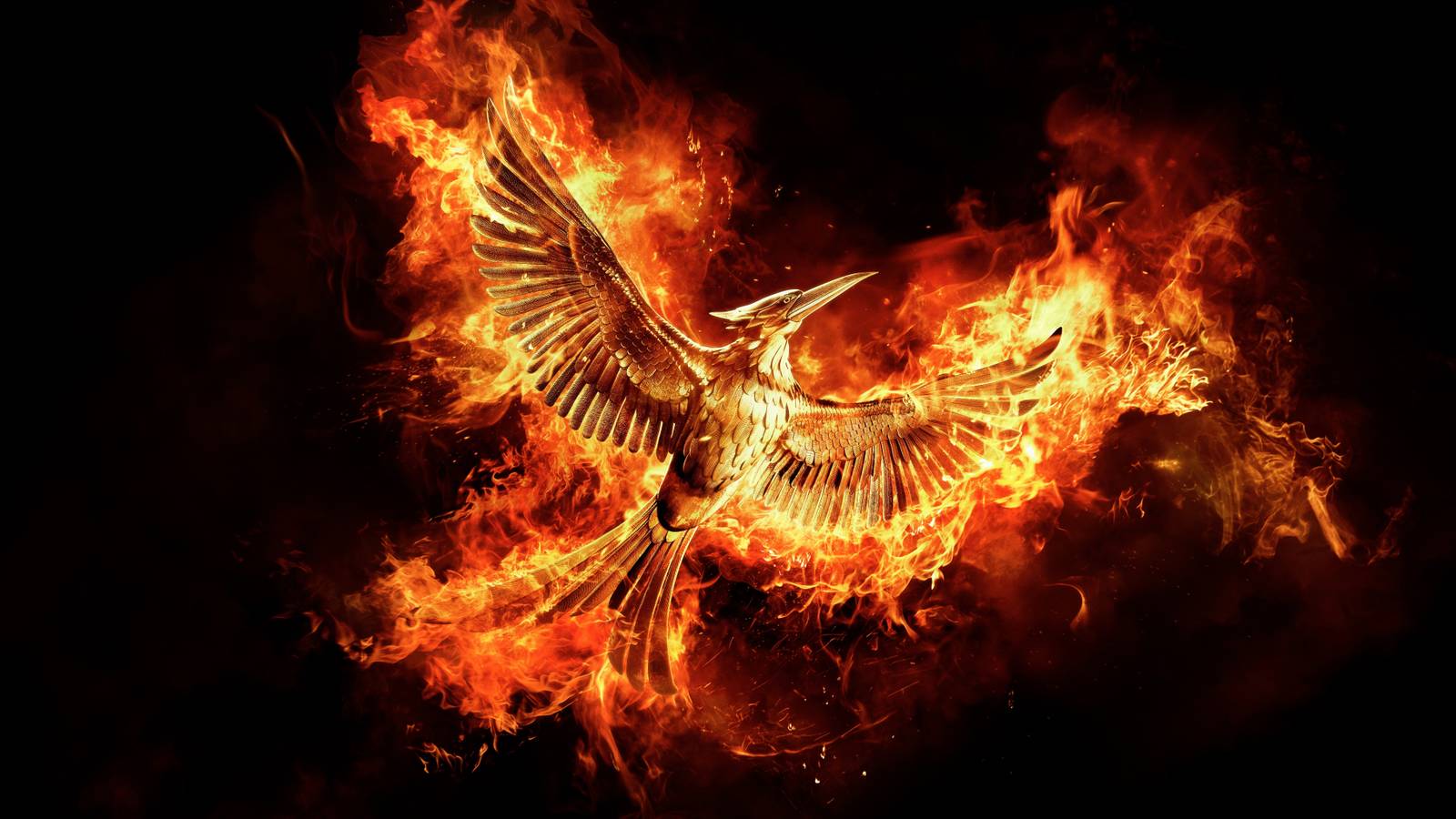 The Hunger Games Movies Missed the Opportunity to Dive Deeper into This ...