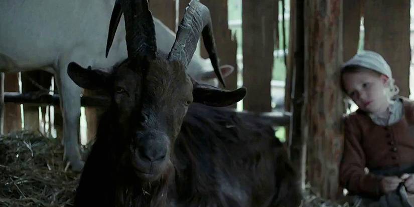 Black Phillip the goat in a barn looking toward the camera in The Witch