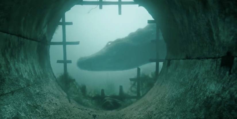 An alligator swims past a tunnel in Crawl