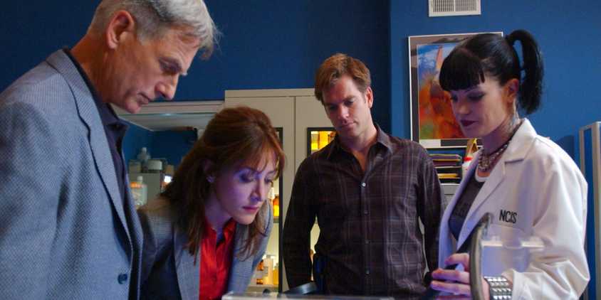Mark Harmon, Sasha Alexander, Michael Weatherly, and Pauley Perrette focusing in NCIS