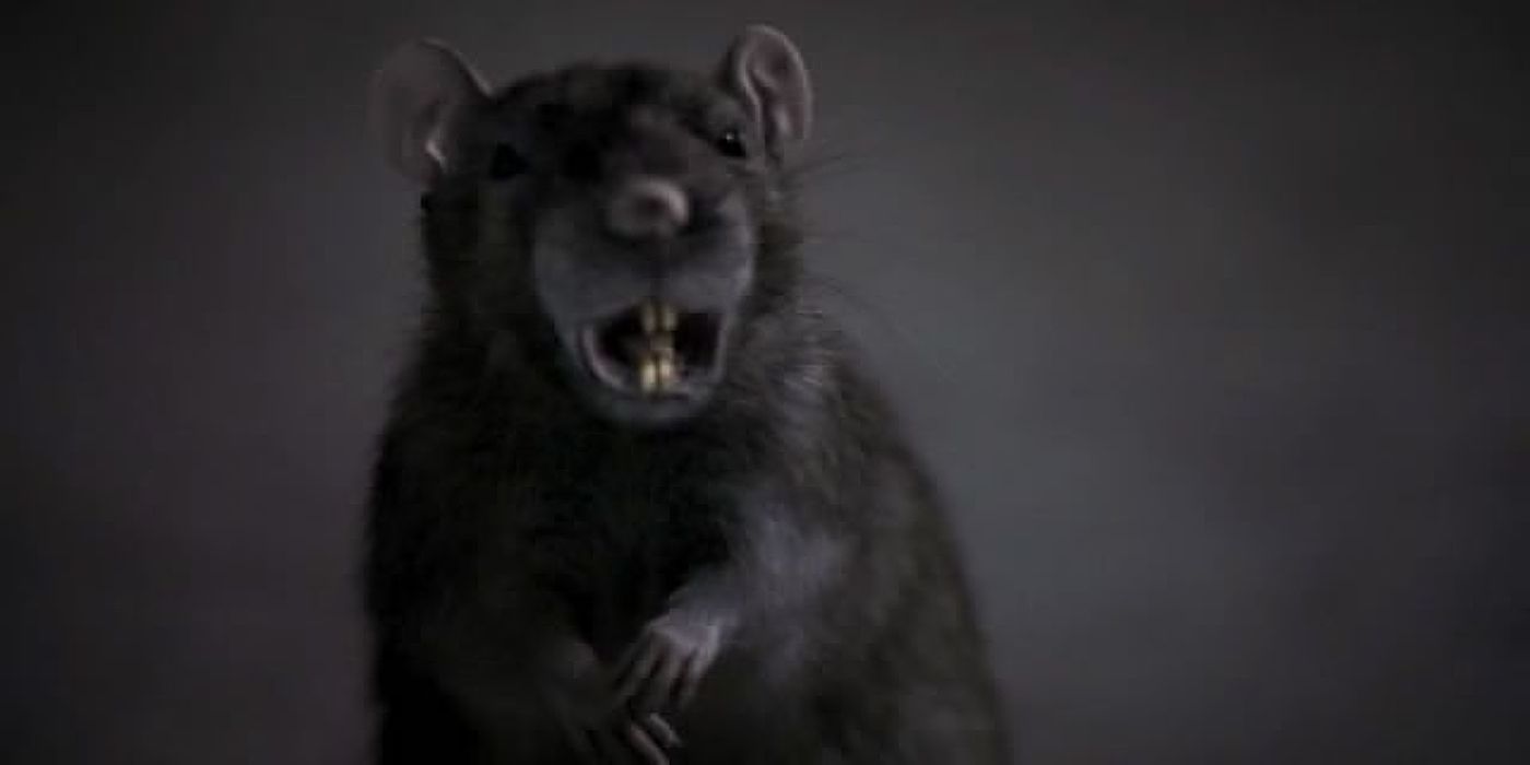 The Most Squirmworthy Horror B-Movie You’ve Probably Never Seen