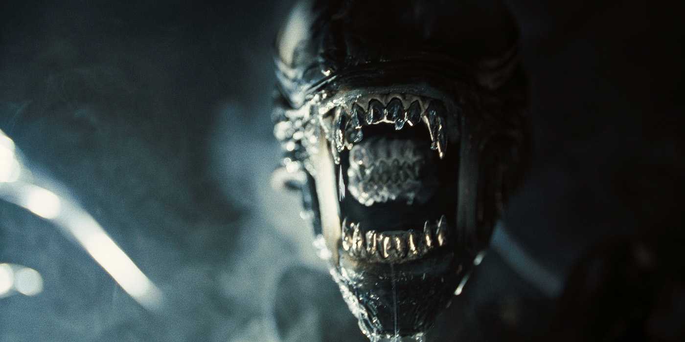 Is ‘Alien Romulus’ Streaming? Where To Watch The Horror Sequel