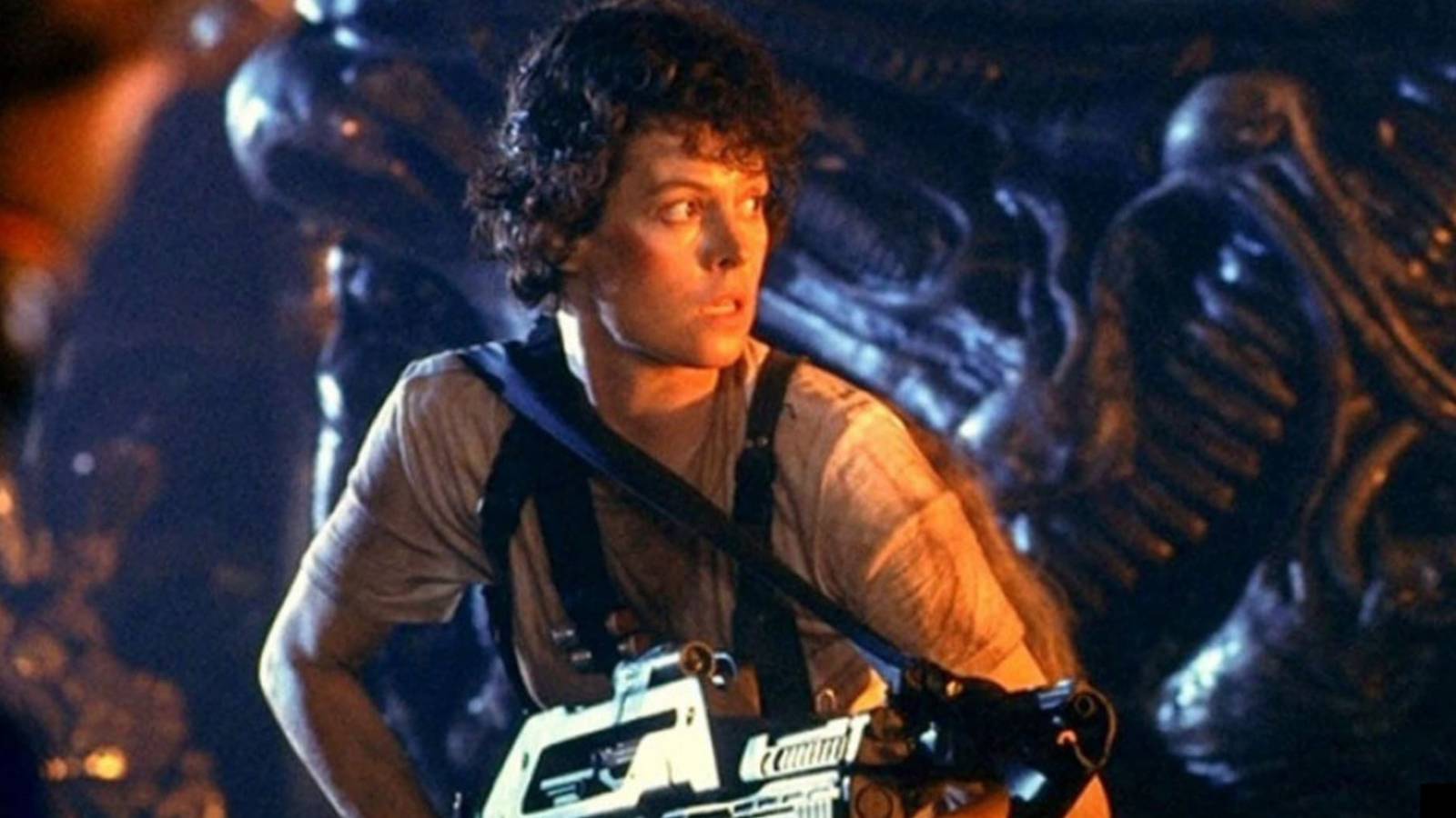 The 10 Most Fun R-Rated Horror Movies of All Time, Ranked The 10 Most Fun R-Rated Horror Movies of All Time, Ranked