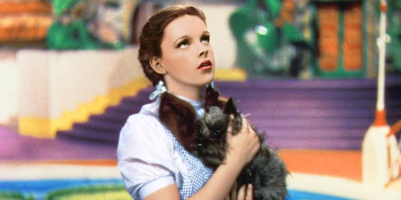 Dorothy holding Toto and looking up in The Wizard of Oz
