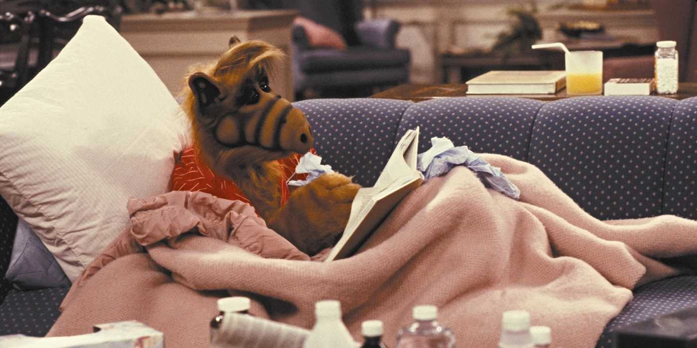 Alf Style The Cast of 'ALF' Hated Working With the Titular Star