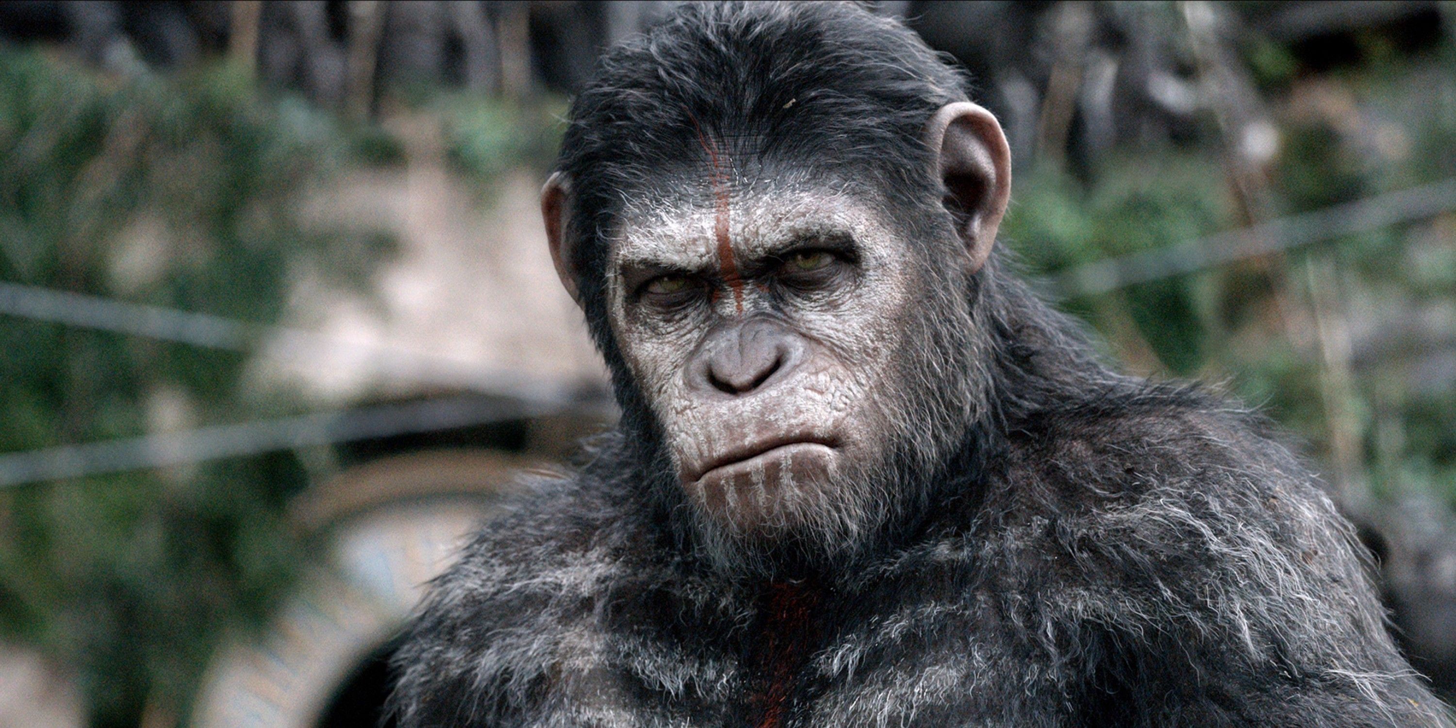 One of the Best 'Planet of the Apes' Movie Is Now Available To Stream for Free