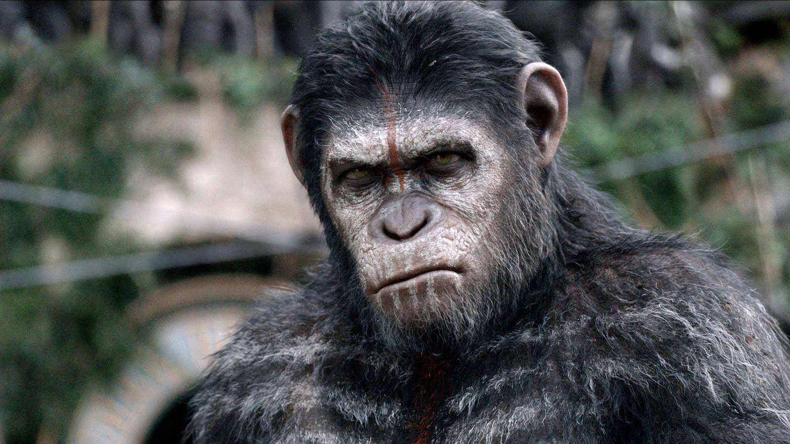 Planet of the Apes Streaming: Watch the Best Movie for Free Now Planet of the Apes Streaming: Watch the Best Movie for Free Now