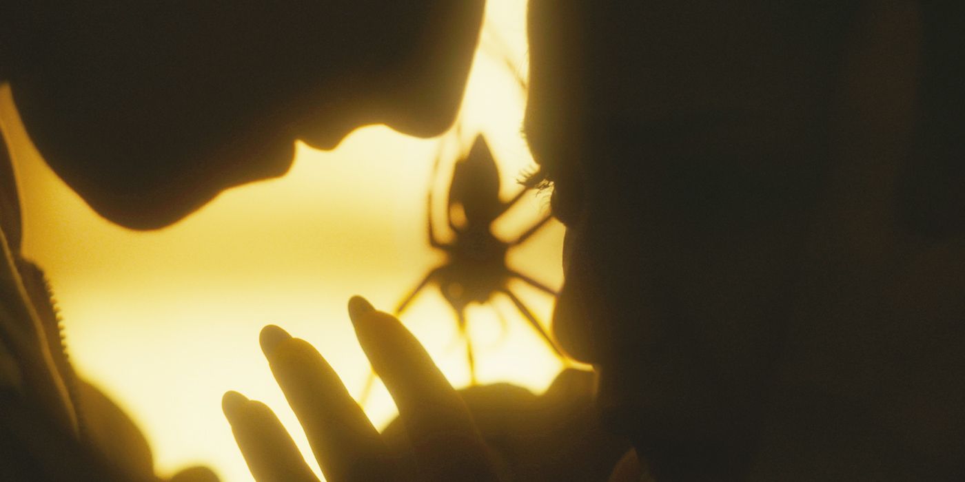 'Infested' Review - This Is Why Pet Spiders Are a Bad Idea