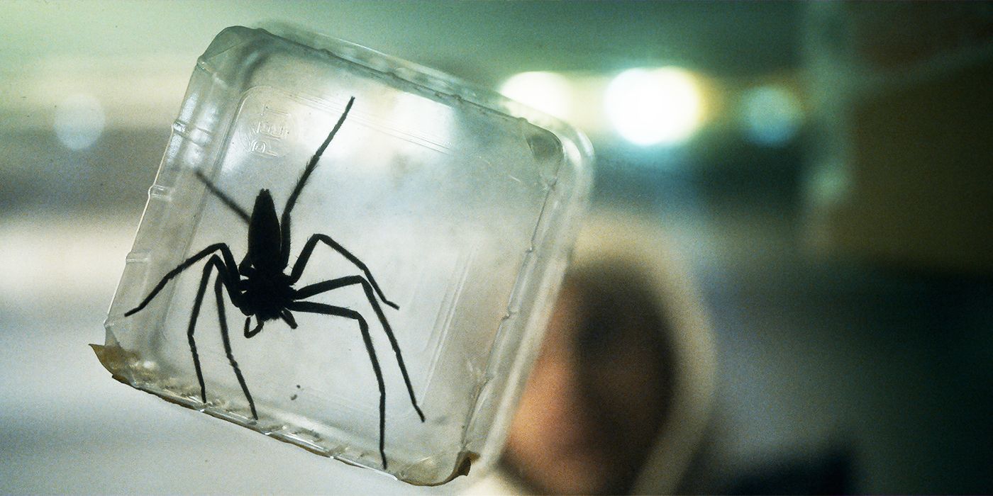 'Infested' Review - This Is Why Pet Spiders Are a Bad Idea