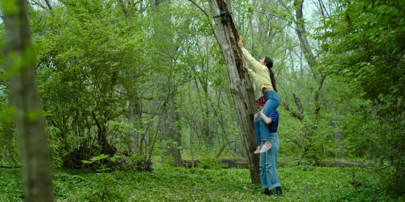 'Turtles All the Way Down' — Everything We Know About the John Green Movie