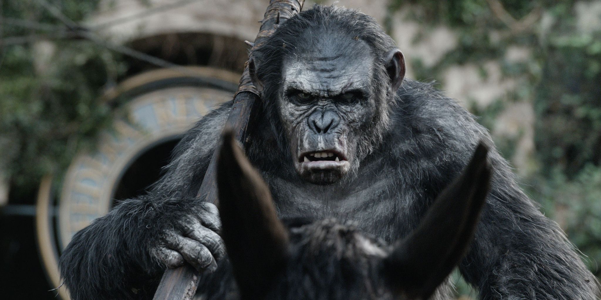 koba-dawn-of-the-planet-of-the-apes-matt-reeves-toby-kebbell 'The Batman' Director’s Greatest Sci-Fi Epic Is Officially Leaving Free Streaming