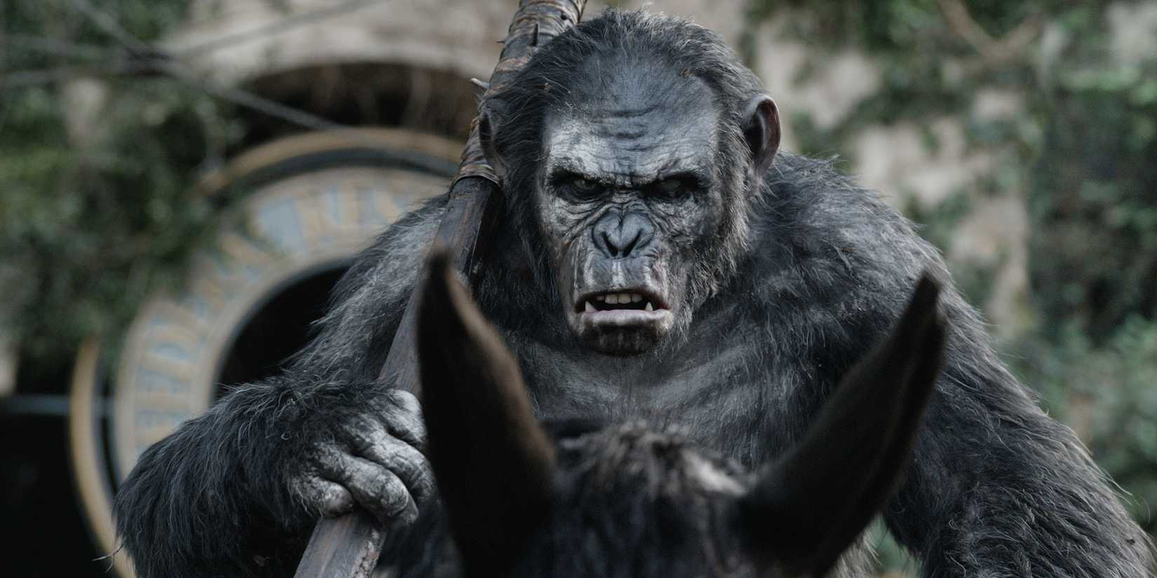 Toby Kebbell as the ape Koba, riding a horse and holding a weapon over his shoulder, looking menacing in 'Dawn of the Planet of the Apes'