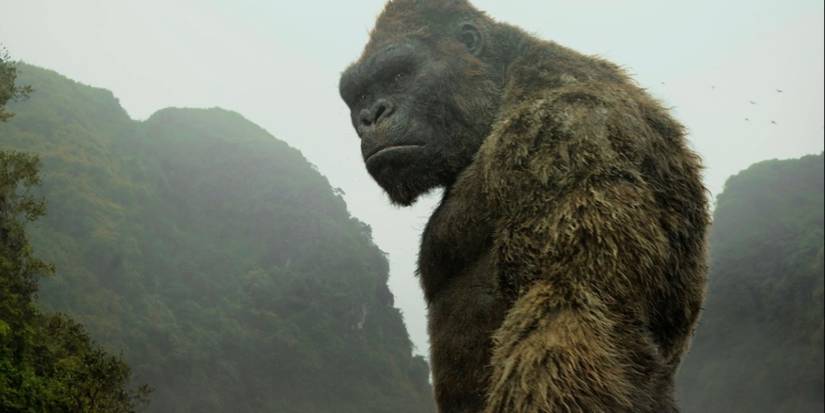 Kong looking to his left in Kong: Skull Island (2017).