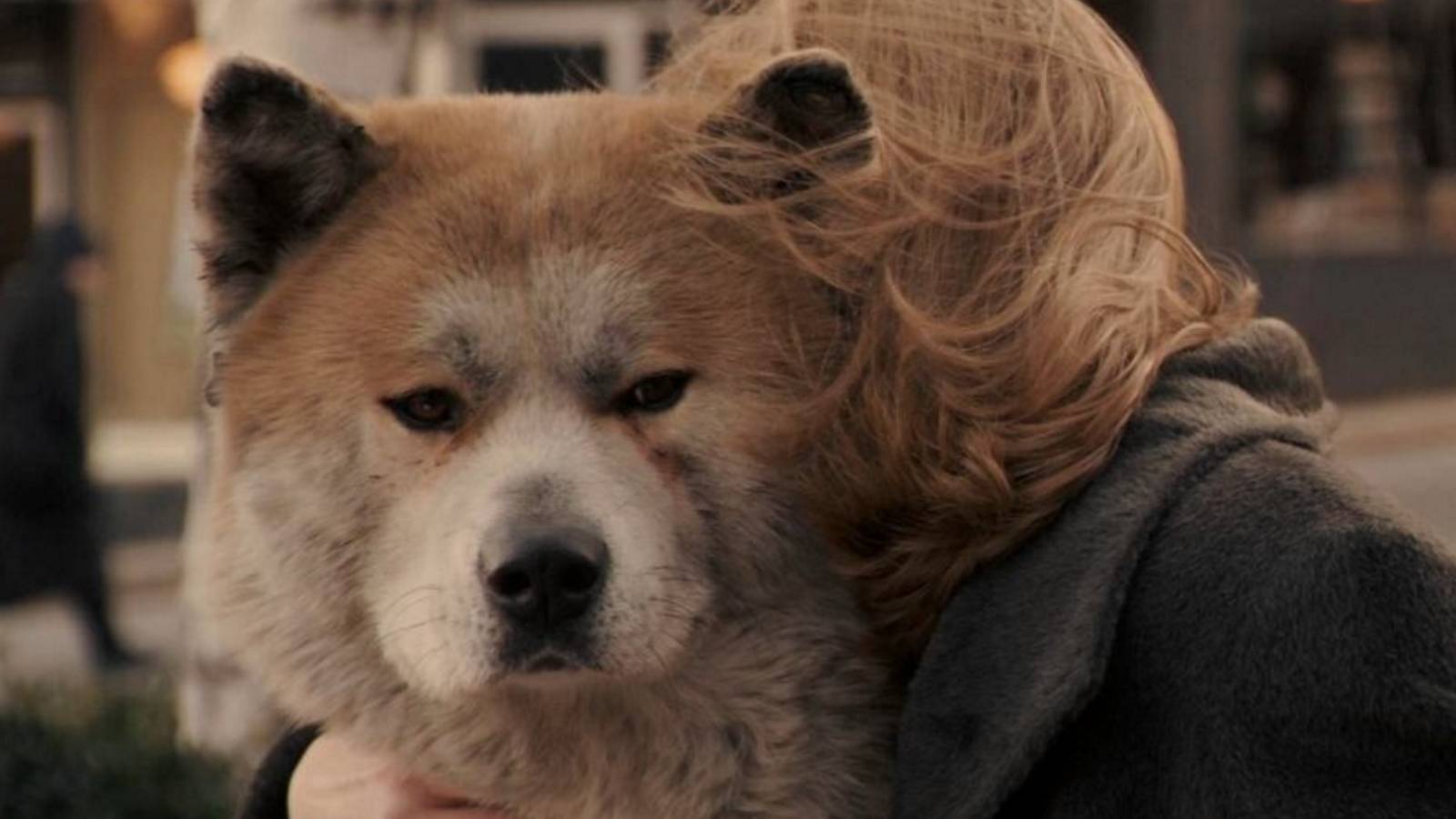 30 Sad Movies That Will Make Want to Hug Your Dog