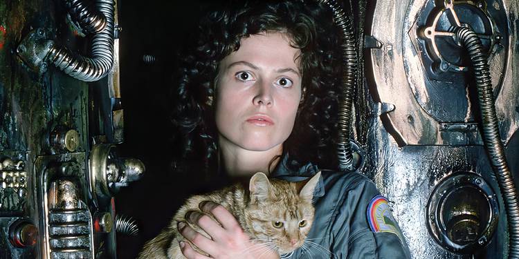 Alien Ripley Hits Android Why Do Androids Have White Blood in the Alien Franchise?