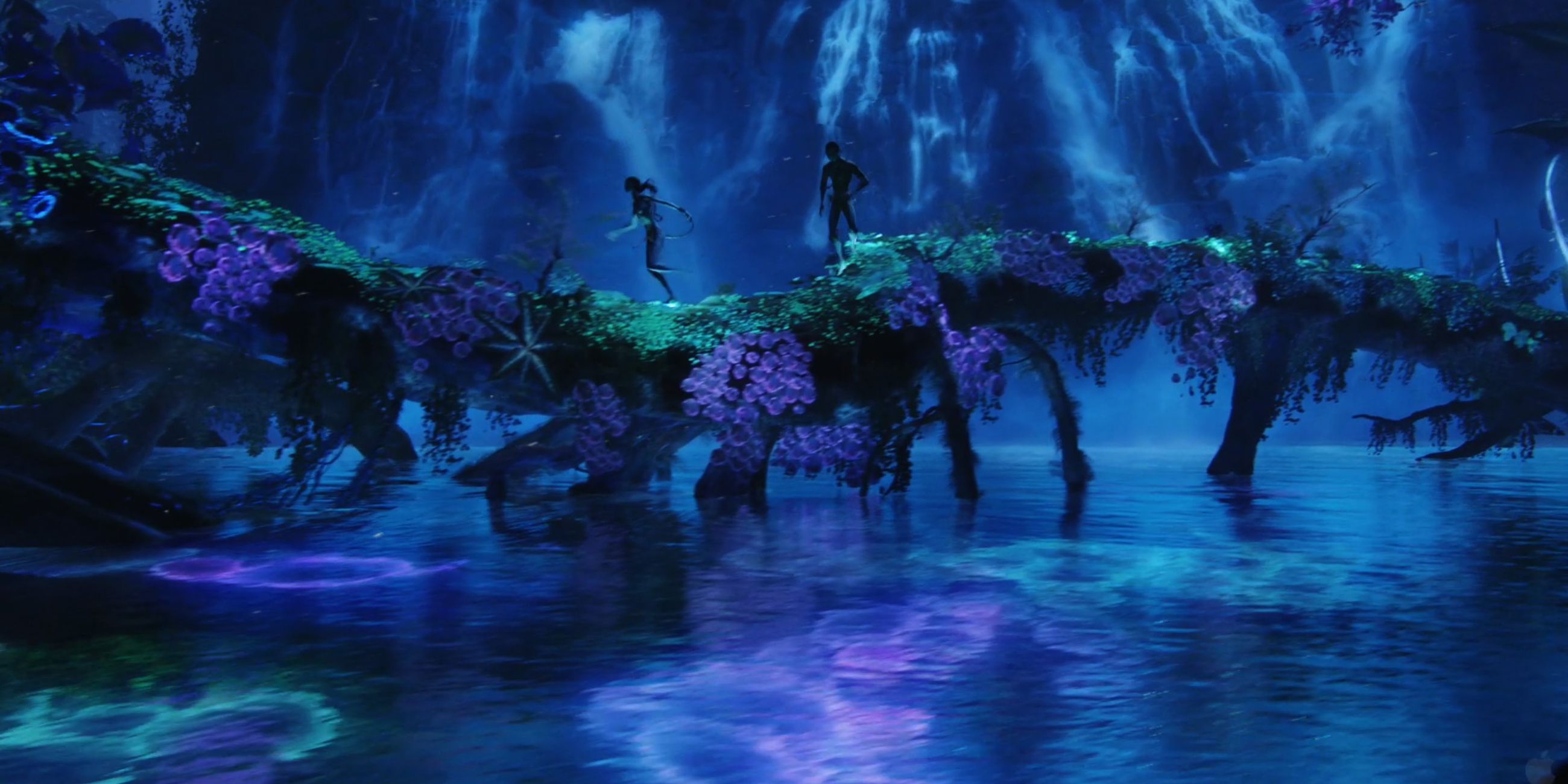 ‘Avatar 4’ and ‘5’ Get a Swimmingly Good Update From James Cameron