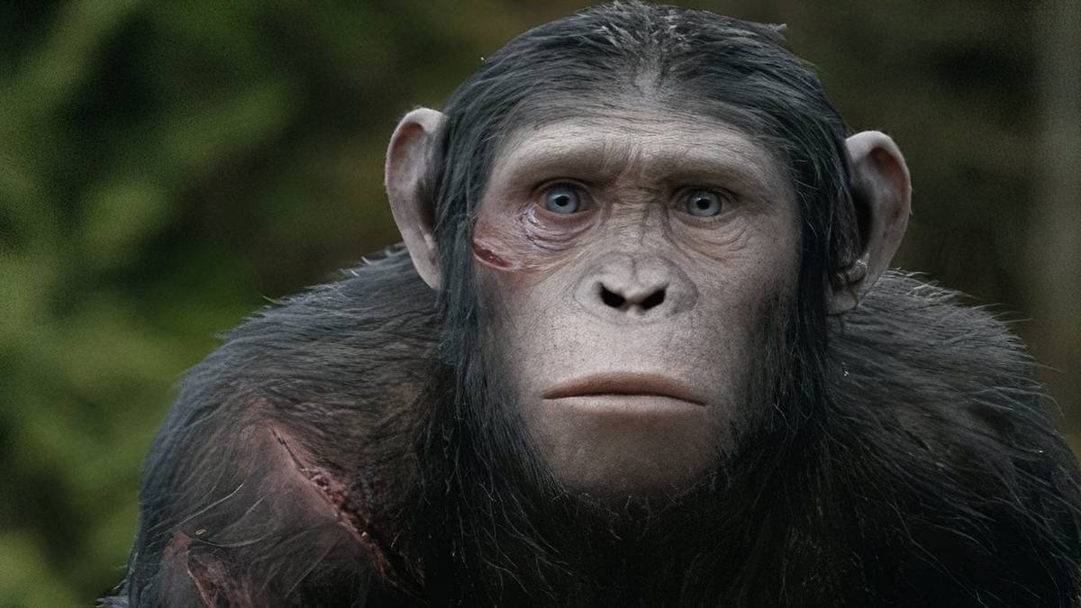 Only 5 Sci-Fi Movies From the 2010s Can Be Considered True Masterpieces