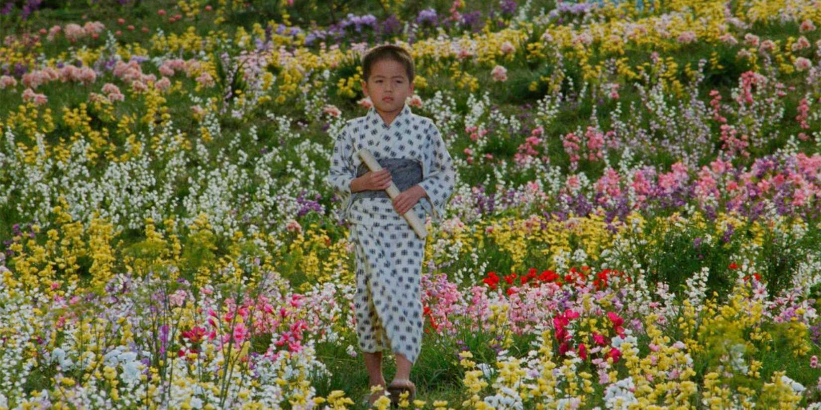A young boy in a field of flowers in Dreams - 1990 (3)