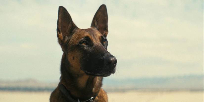 All 8 'Fallout' Season 1 Episodes, Ranked