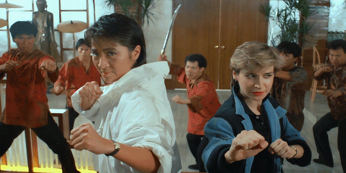 Cynthia Rothrock's 10 Best Movies, Ranked