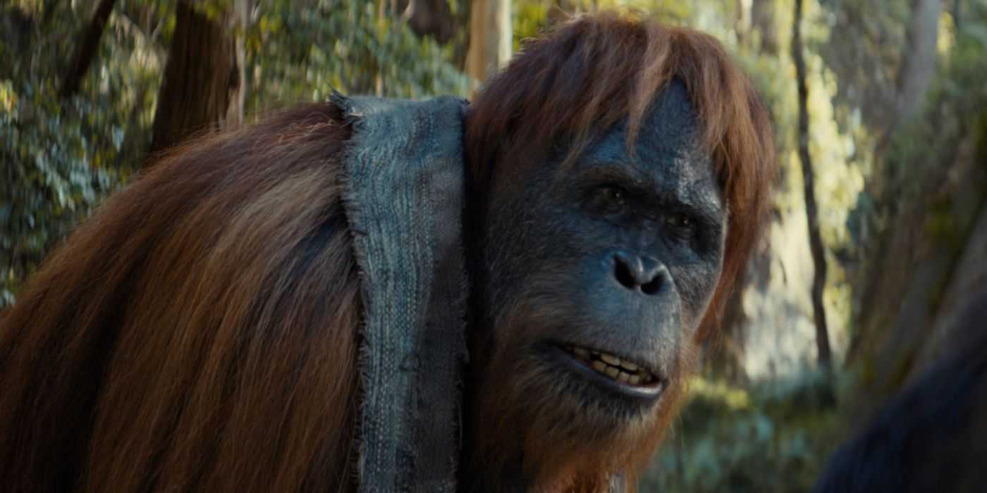 Close Raka ‘Kingdom of the Planet of the Apes’ Cast Guide — Who Are the New Primates?