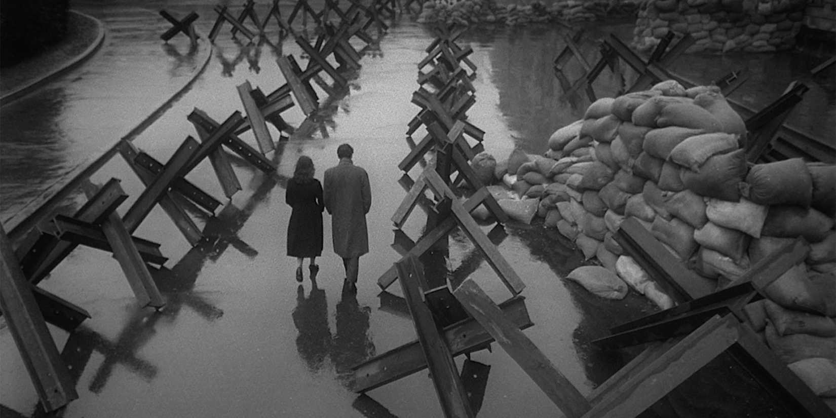 A man and a woman walking together in The Cranes Are Flying