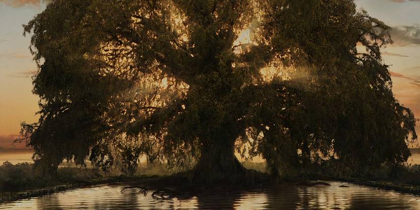 The-Fountain-Tree-Of-Life