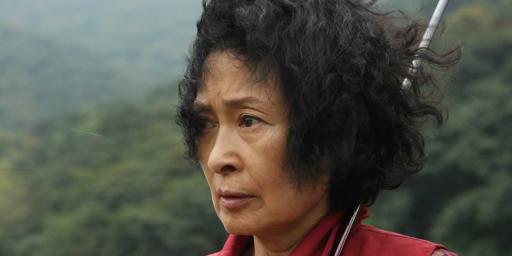 Kim Hye-ja in Bong Joon-ho's 'Mother' (2009)