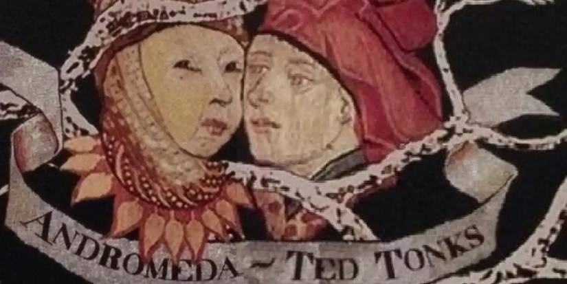 A picture of Andromeda Tonks (Black) and husband Ted Tonks on the Black family tree in Harry Potter.