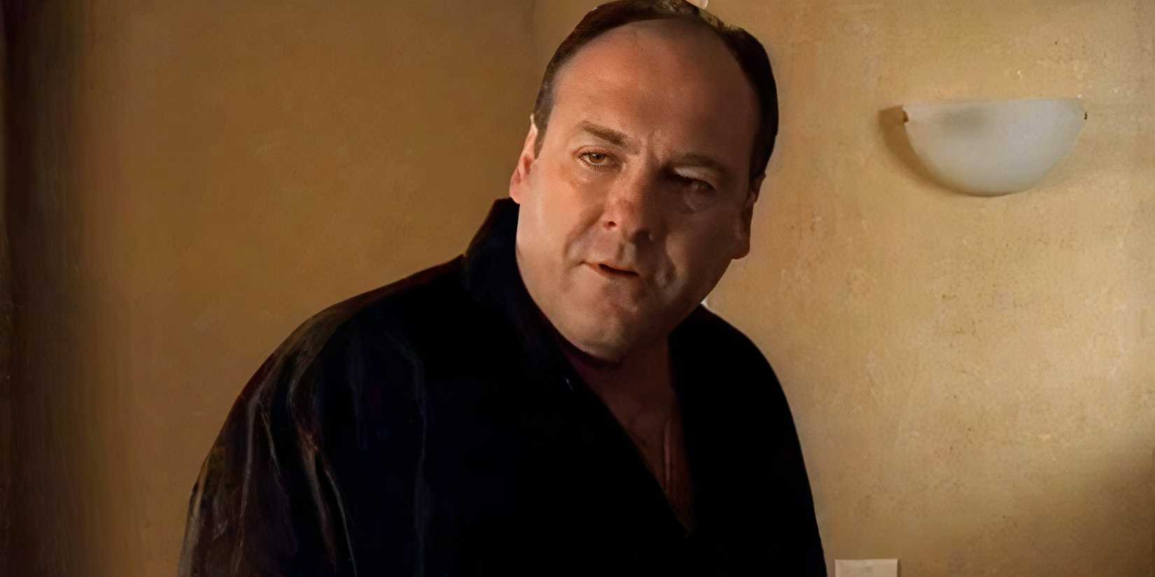 James Gandolfini as Tony Soprano talking to someone off camera in The Sopranos episode Whitecaps.