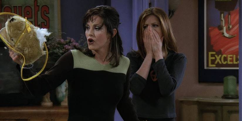 10 Funniest Monica and Ross Episodes in 'Friends'