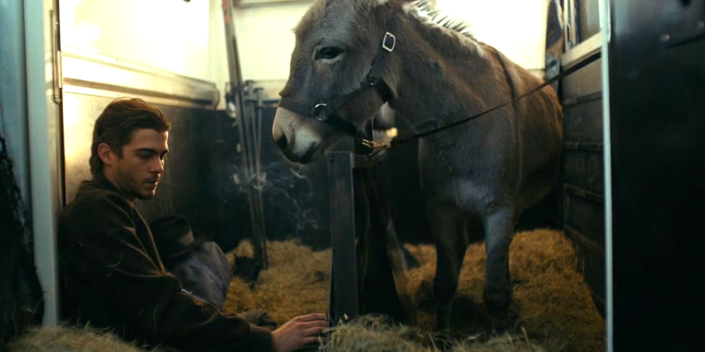 This Unconventional Donkey-Driven Drama Is an Oscar-Nominated Tearjerker