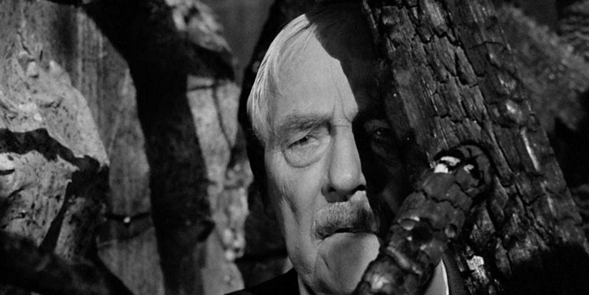 A man looking from behind a rock in Wild Strawberries