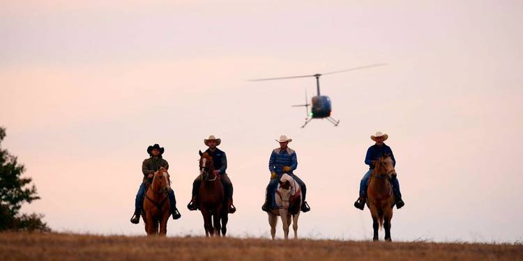 mcbee-dynasty-brothers-horses