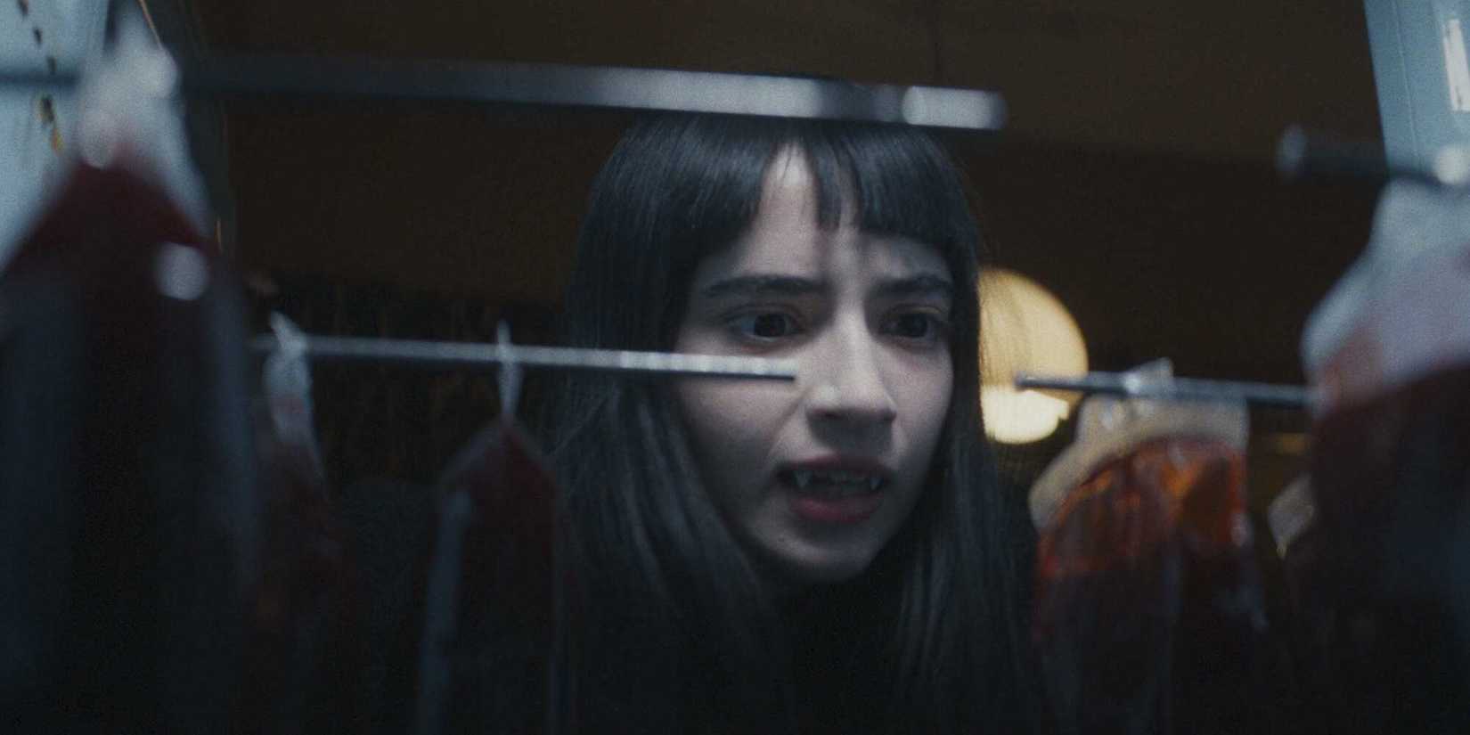 Sasha is concerned scouring through bloodbags in Humanist Vampire Seeking Consenting Suicidal Person.