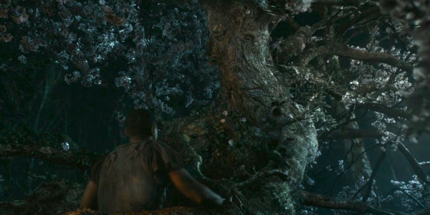 Who Are the Ents in ‘The Rings of Power’ Season 2?