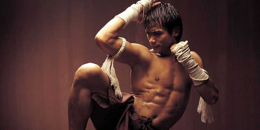 This Martial Arts Epic Became One of the Best Sequels of the 2010s by ...