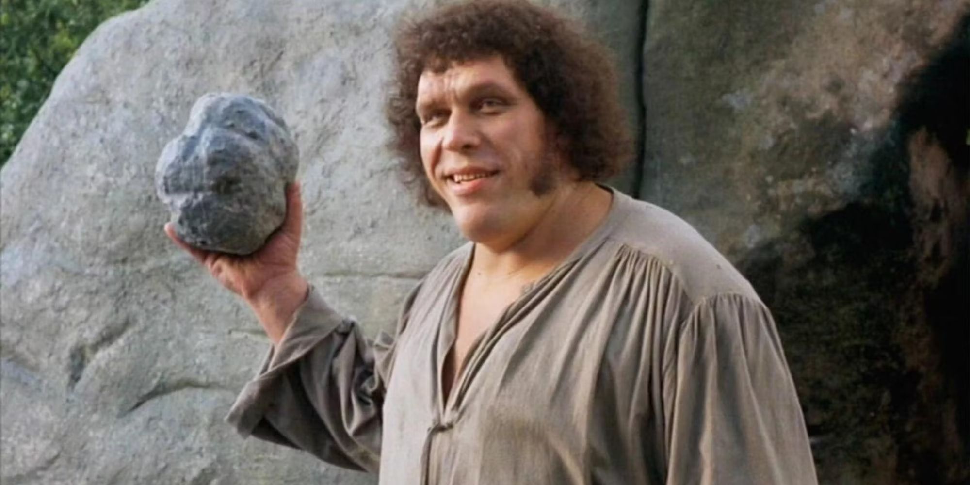5 Years Ago, Rob Reiner’s Most Beloved Fantasy Turned Into an ...