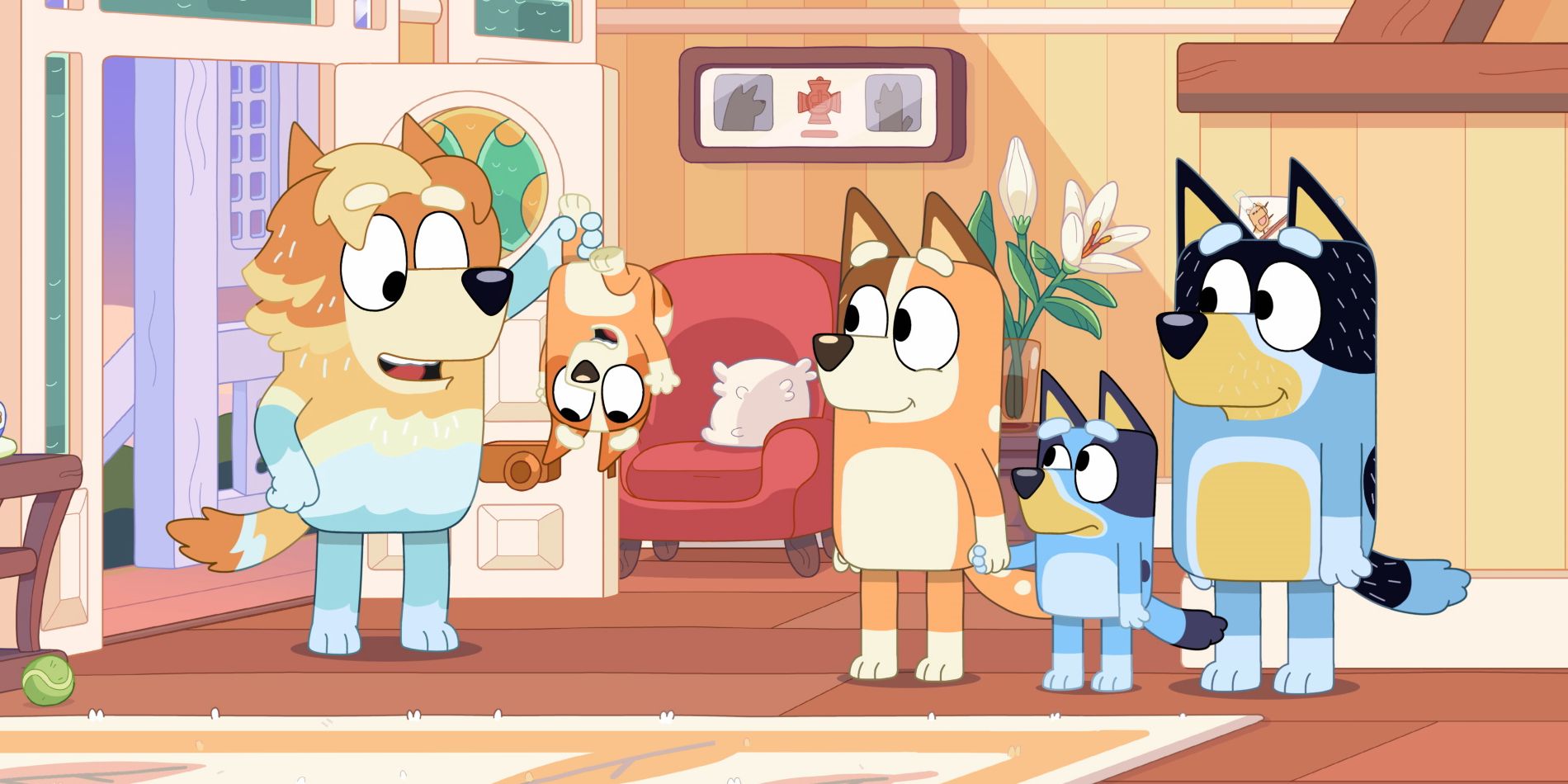 Is Bluey a Boy or a Girl?