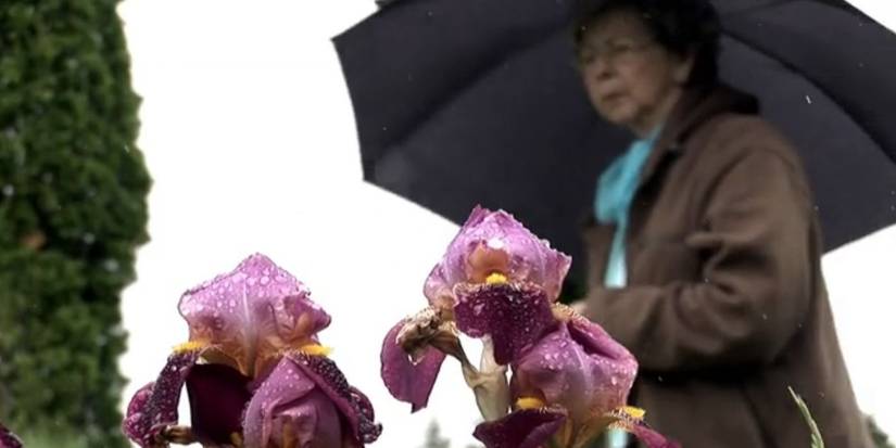 8 Best Documentaries About Near-Death Experiences, Ranked