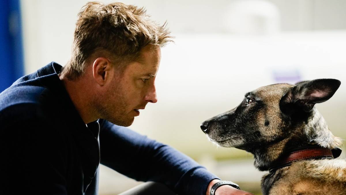Tracker' Season 2 Episode 7 Recap - It's Not Enough for Colter Shaw to  Bring a Missing Dog Home