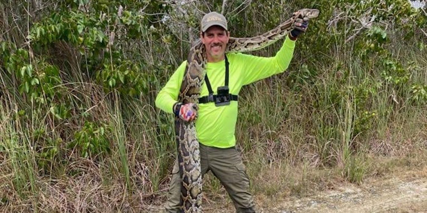 ‘Swamp People’ Enlists “Hillbilly Dave” for Python-Hunting Duty